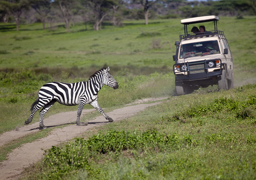 4 Days Luxury Wildlife Safari