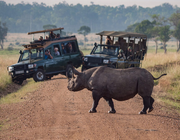 3-Day Private Budget Safari