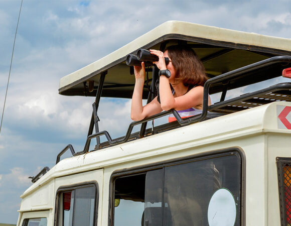 12 Days Luxury Wildlife Safari