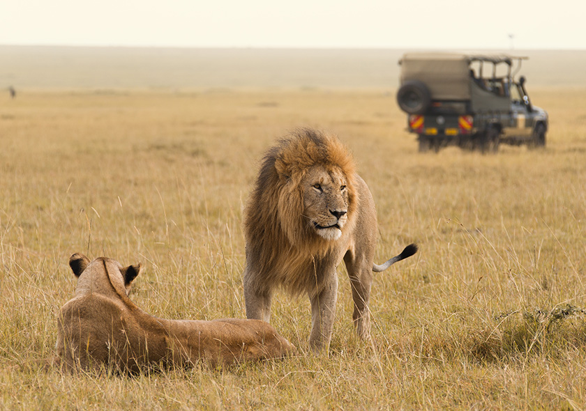 9 Days Luxury Wildlife Safari