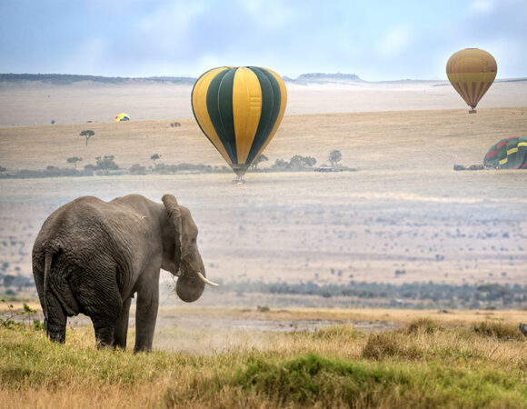 8 Days Tanzania Luxury Wildlife Safaris