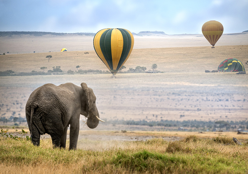 8 Days Tanzania Luxury Wildlife Safaris