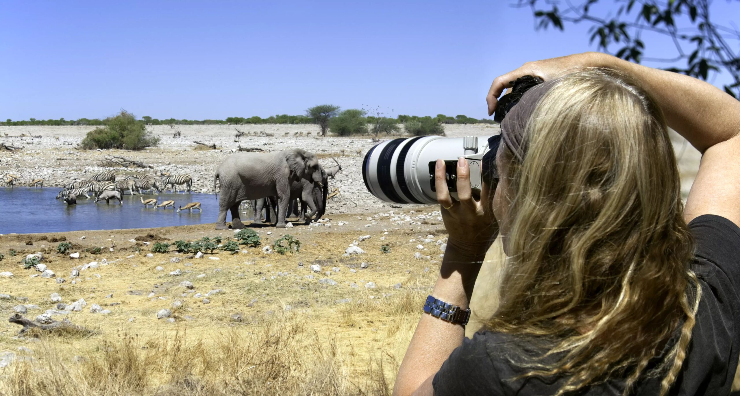 Photographic Safari