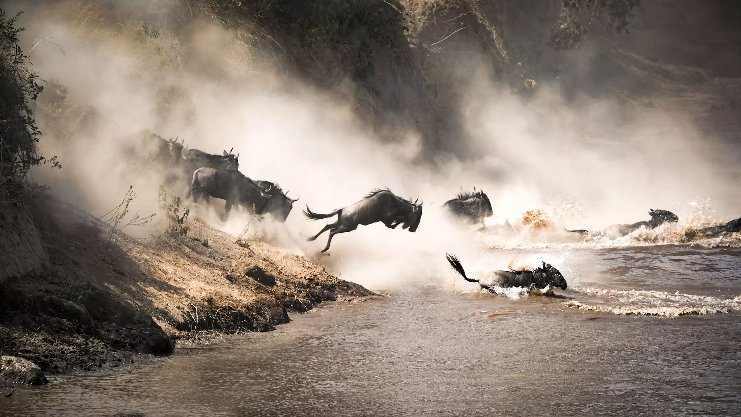 Serengeti Great Migration